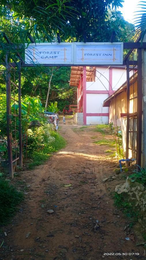אל נידו Forest Inn מראה חיצוני תמונה